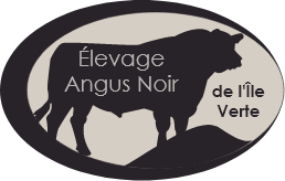 Black Angus Breeding of Île Verte